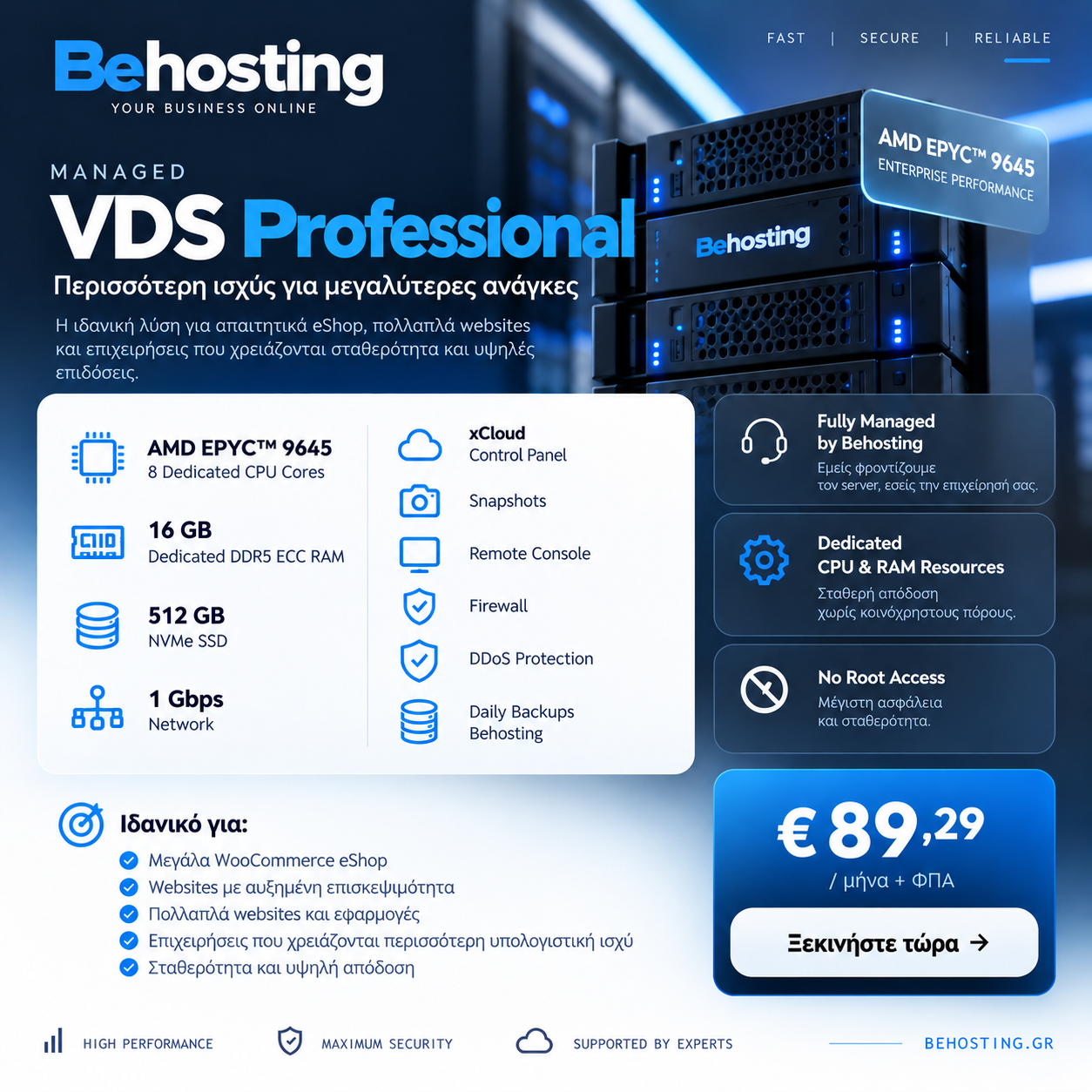 Behosting VDS Professional